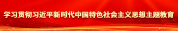 大鸡巴操我AV学习贯彻习近平新时代中国特色社会主义思想主题教育